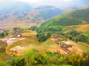 Blick auf die Reisterrassen bei Ta Van