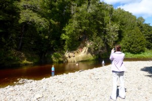 Flussvergnügen am Nelson Creek
