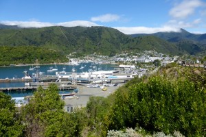 Blick auf Picton mit dem Fährhafen