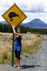 Auf dem Weg zum Tongariro Nationalpark - Kiwi auf Skiern