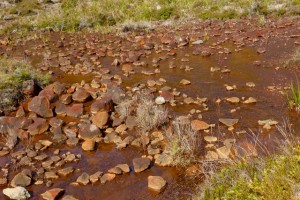 Vom eisenhaltigen Wasser rostrot gefärbte Steine