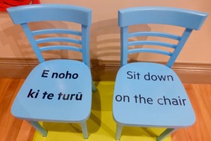 Kleine Einführung in die Sprache der Maori